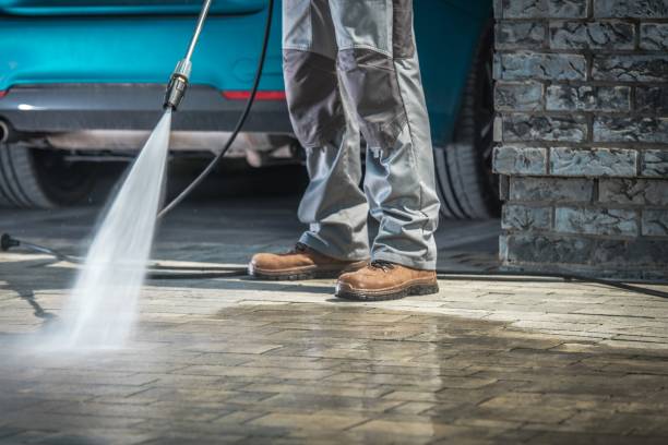 Best Soft Washing  in Valrico, FL