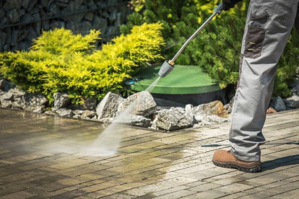 Best Boat and Dock Cleaning  in Valrico, FL