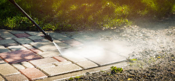 Best Solar Panel Cleaning  in Valrico, FL