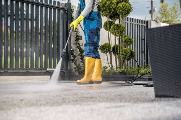 Best Residential Exterior Washing  in Valrico, FL
